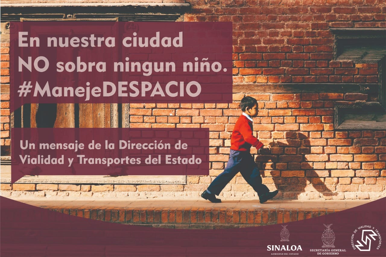 seguridad vial