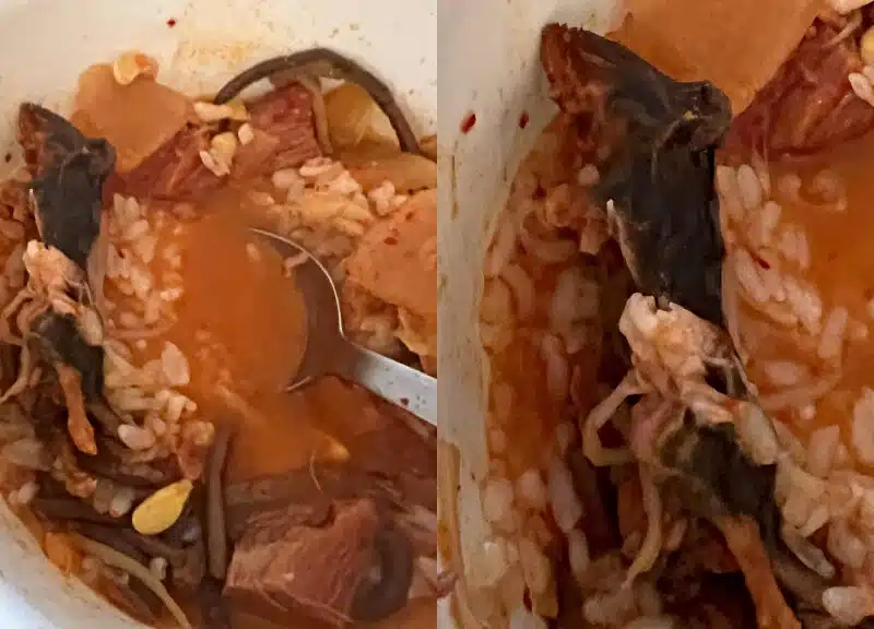 ¡Aterrador! Encuentran rata muerta en la sopa de un restaurante coreano en NY