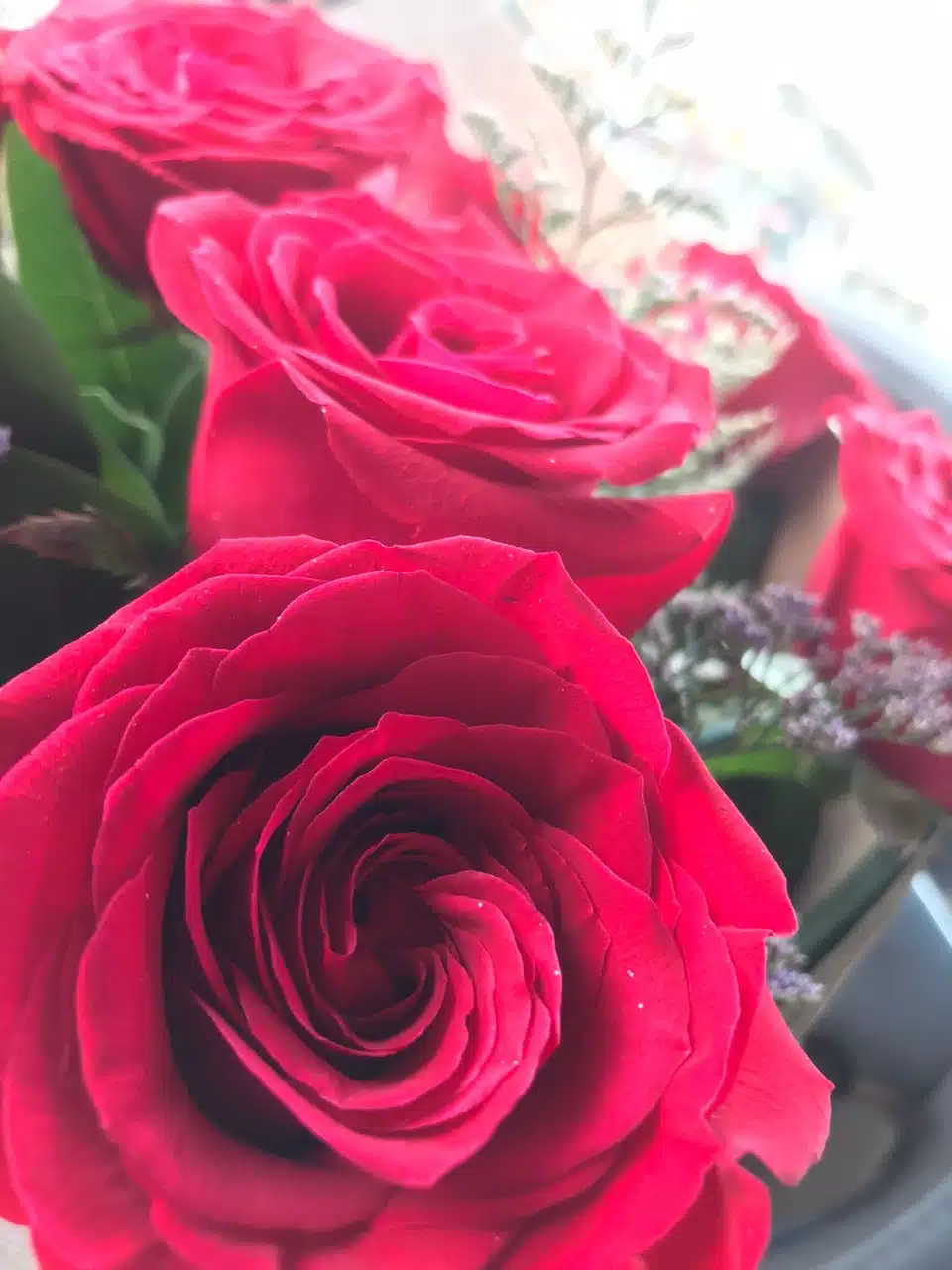 ¿Cuándo se dan las 20 rosas en abril? Entérate de este contexto viral en redes sociales y sorprende a tu pareja