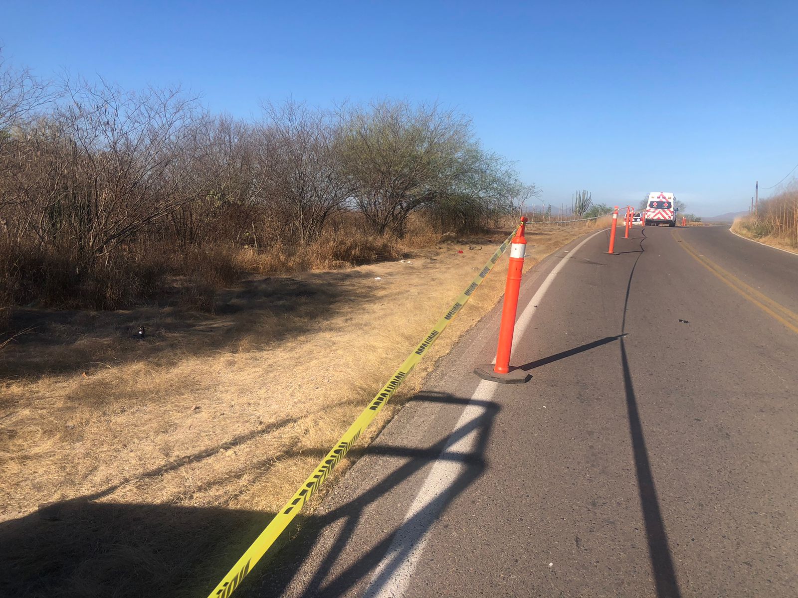 Accidente Atropellado El Fuerte