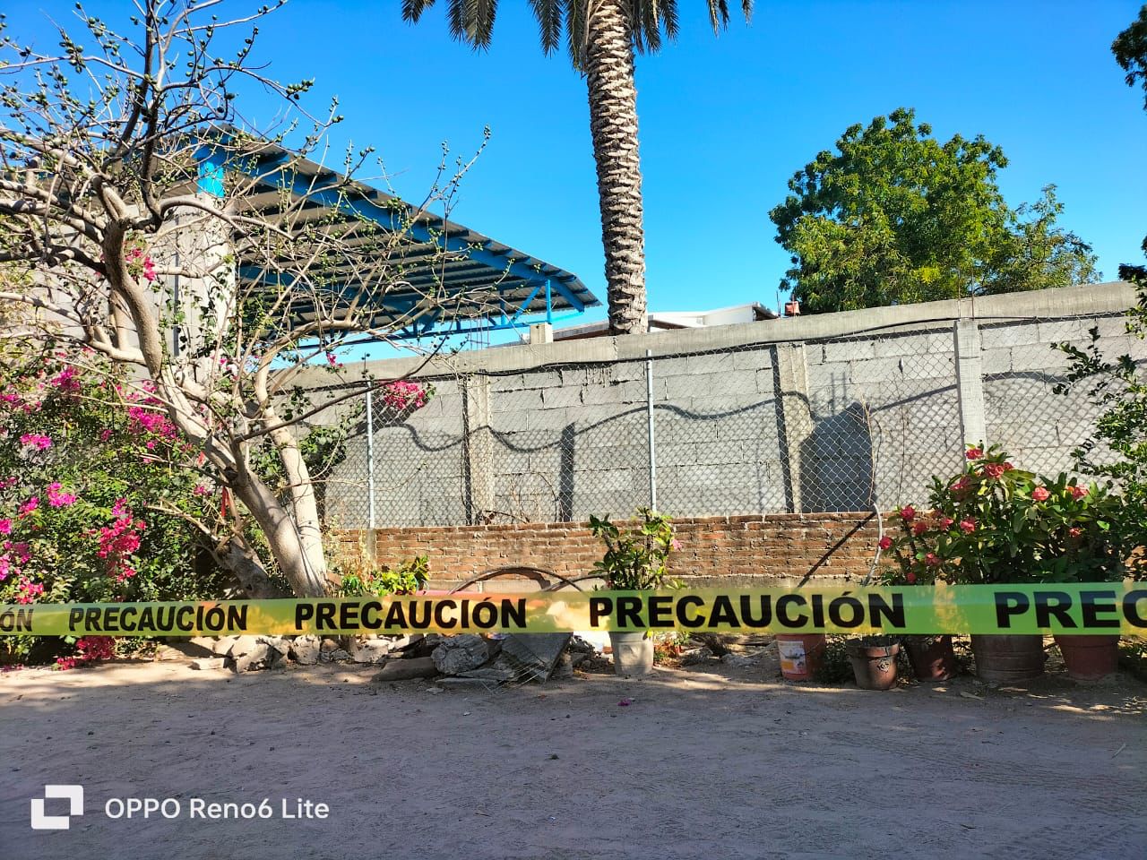 José Abel cayó de lo alto de un árbol en Recoveco, Mocorito