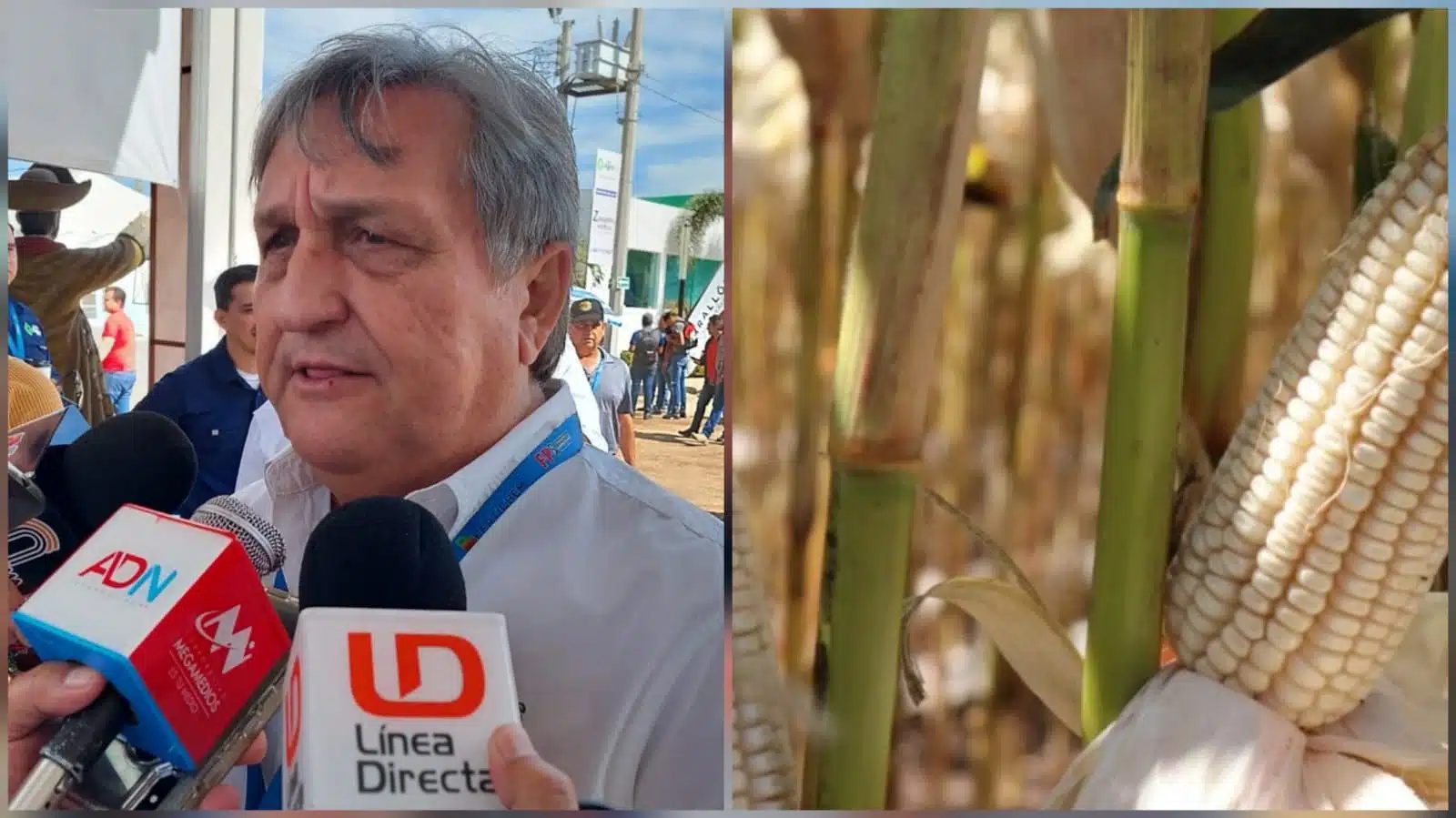 Caades lanza carta pública a AMLO; pide esquema de comercialización del maíz
