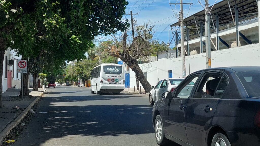 Camión Culiacán