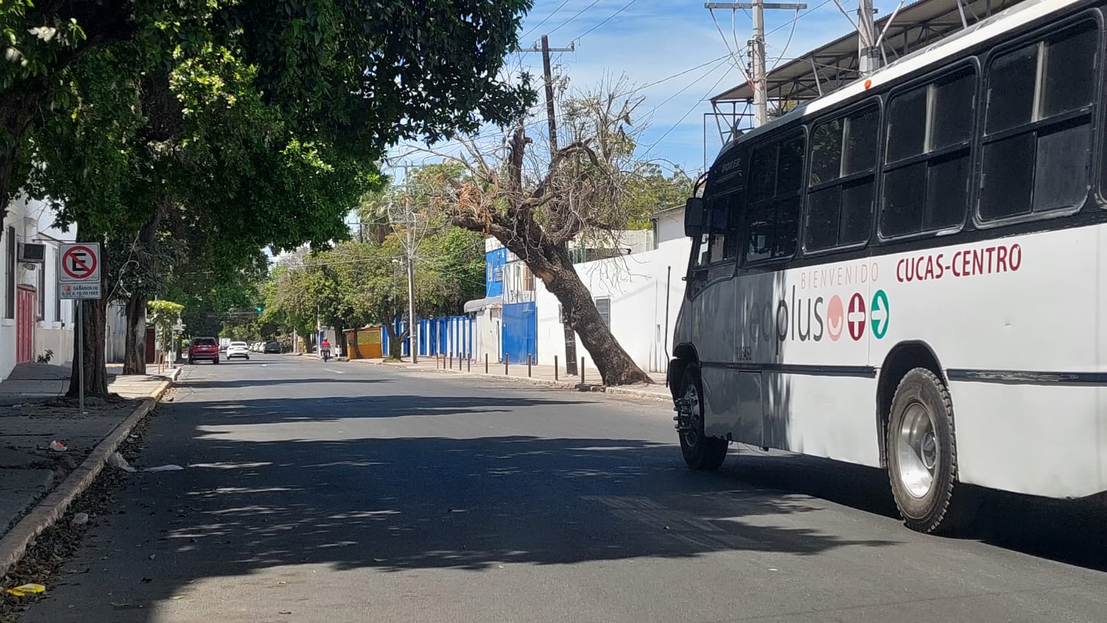 Camión Culiacán