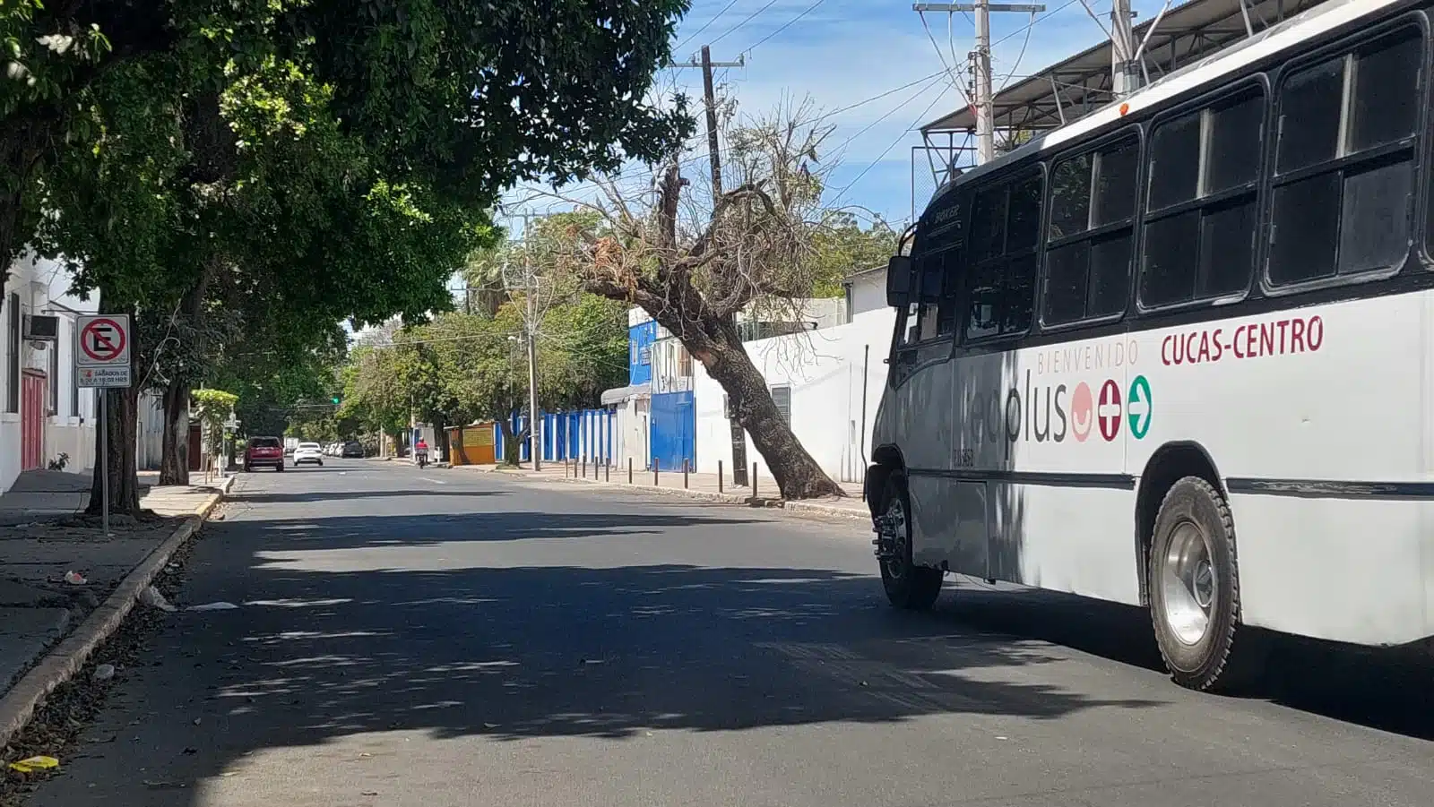 Camión Culiacán