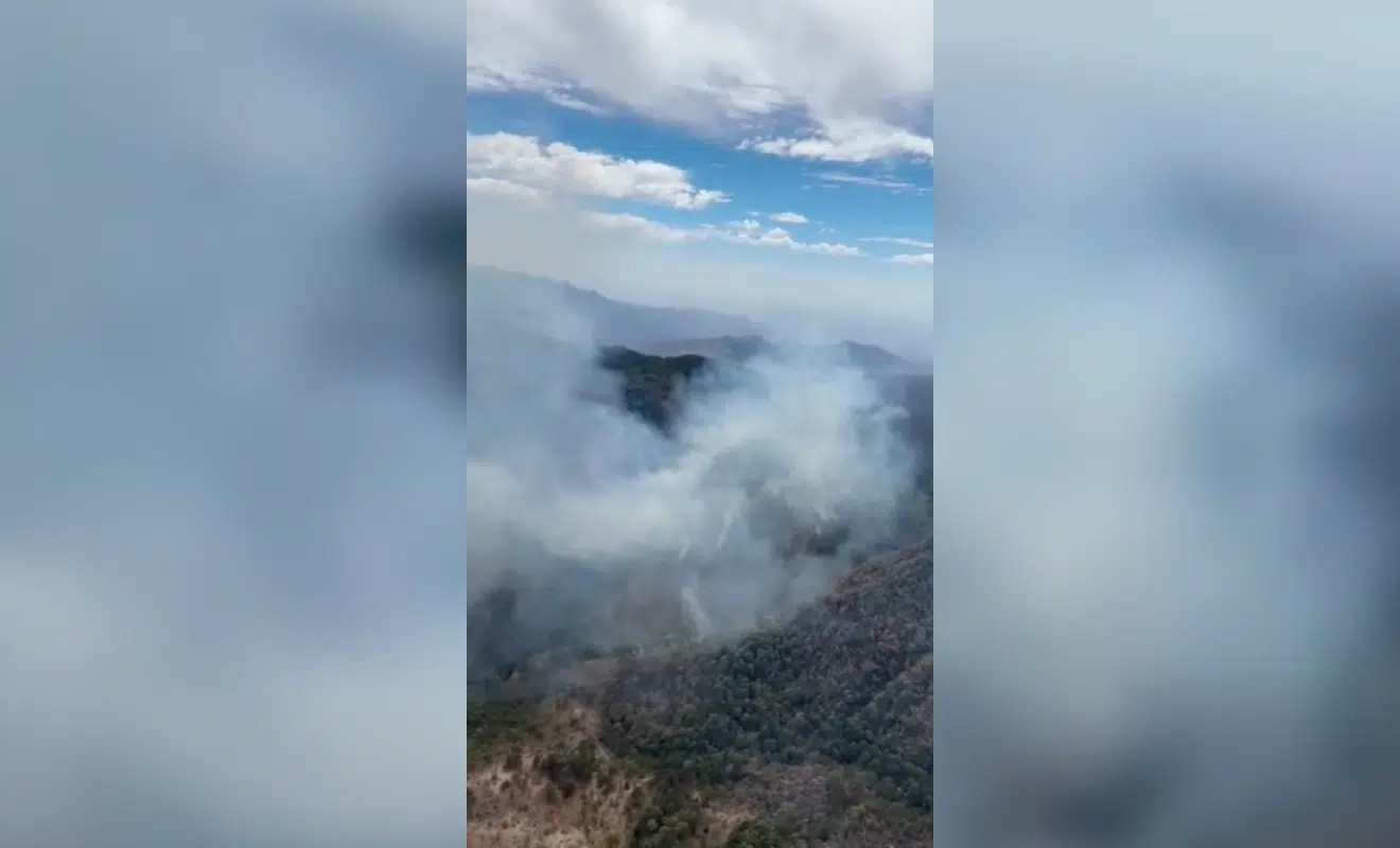 Incendio Loberas Concordia Fuego Sinaloa
