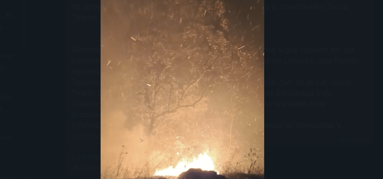 Incendio forestal Concordia