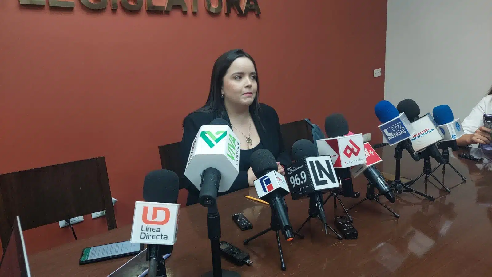 Cinthia Valenzuela Langarica-PRI