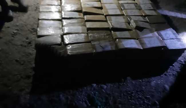 Cocaina