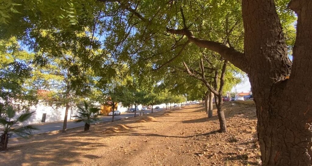 Construirán parque lineal por el bulevar Manuel Clouthier