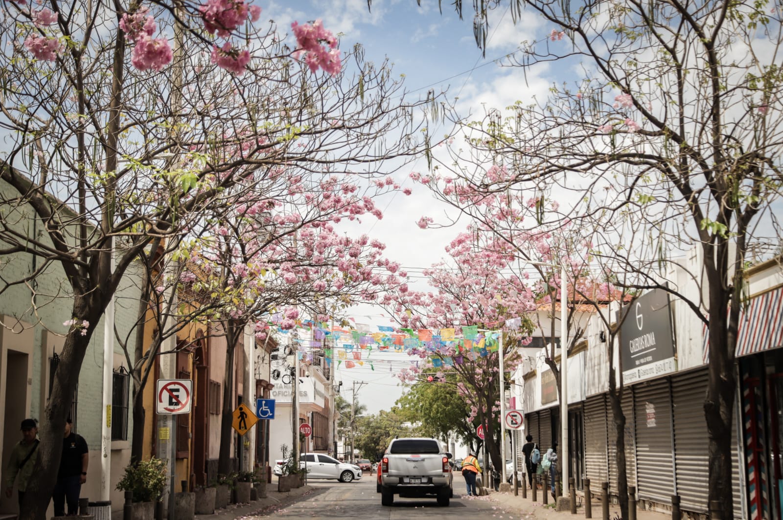 Culiacán Centro Amapas