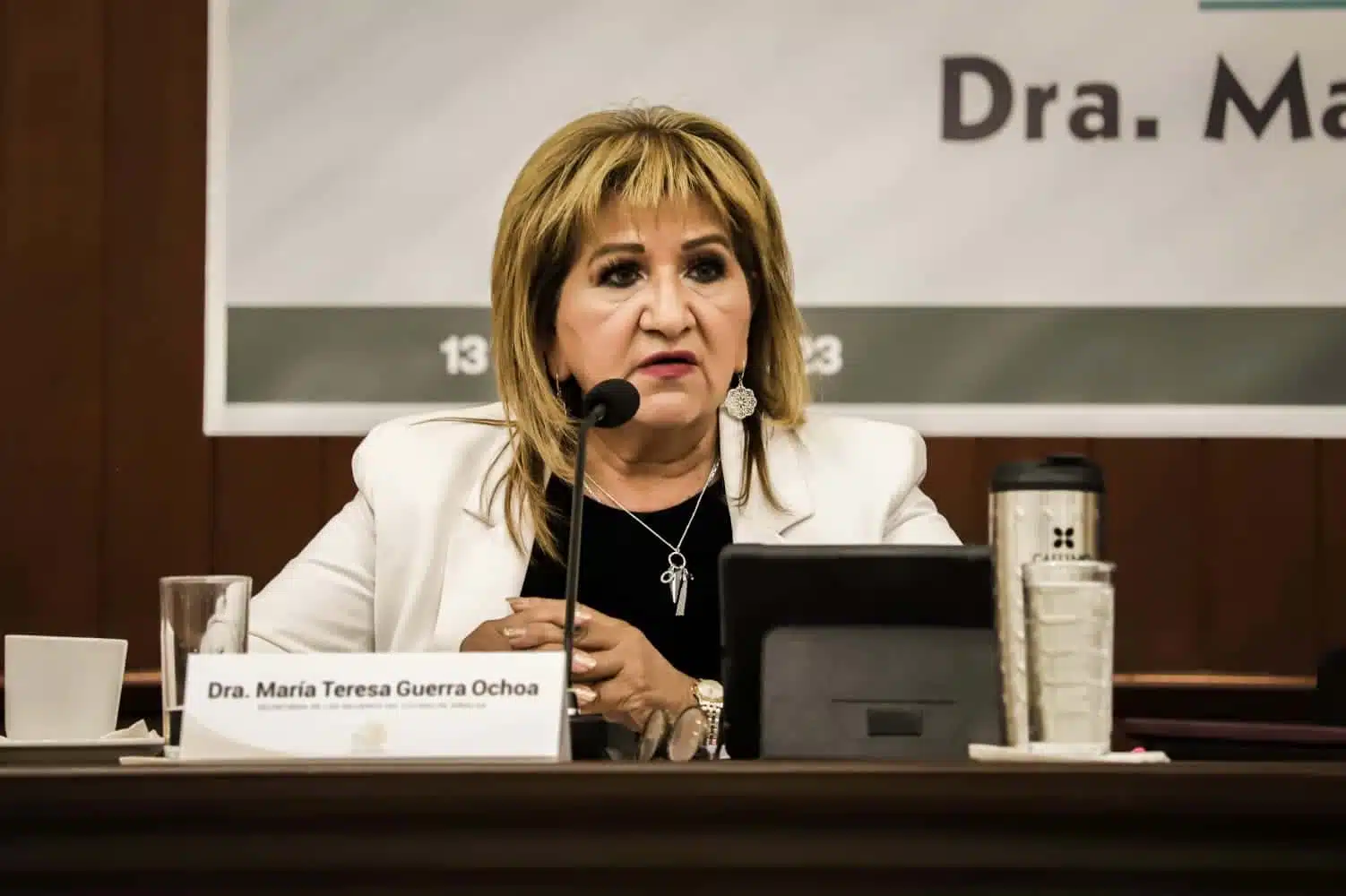 Dra María Teresa Guerra Ochoa