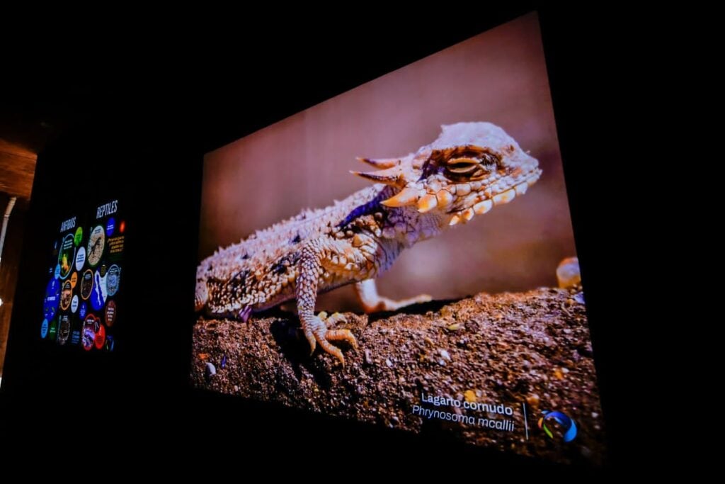 El Gran Acuario será una catapulta para la inversión en Mazatlán Ernesto Coppel