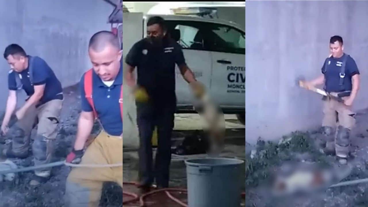 Exhiben a tres elementos de Protección Civil de Monclova por maltrato animal