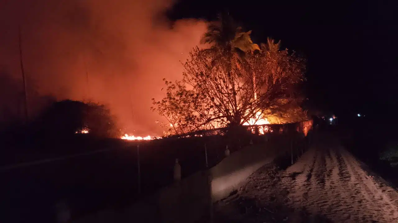 Extinguen incendio forestal en la reserva ecológica de Playa Espíritu, Escuinapa