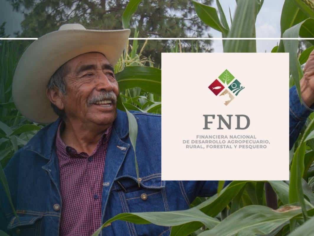 FND