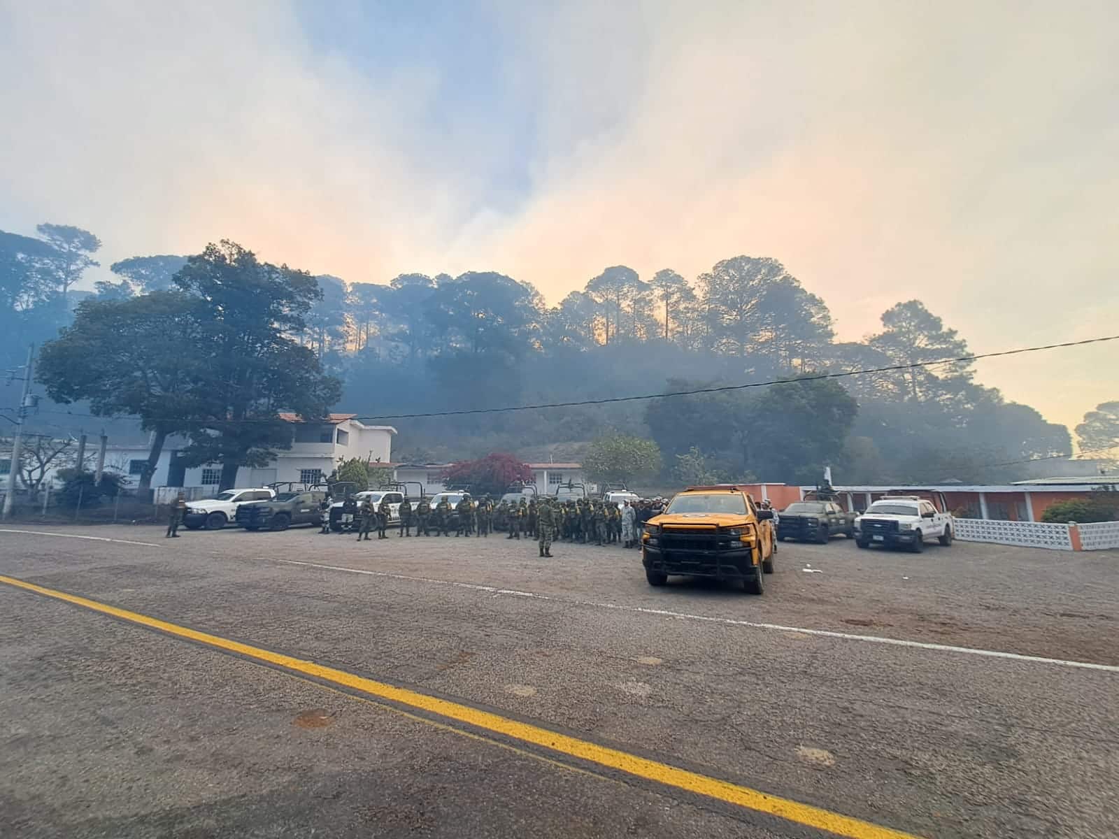 Incendio forestal