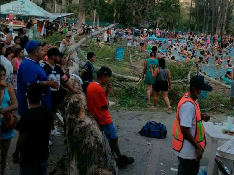 Fallece bebé al colapsar árbol en un balneario de Guanajuato