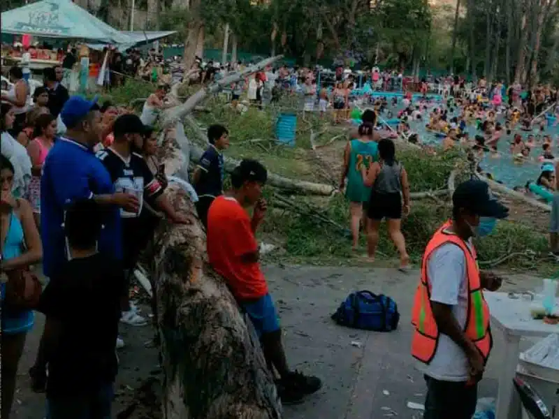 Fallece bebé al colapsar árbol en un balneario de Guanajuato