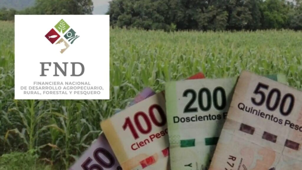 Financiera Rural