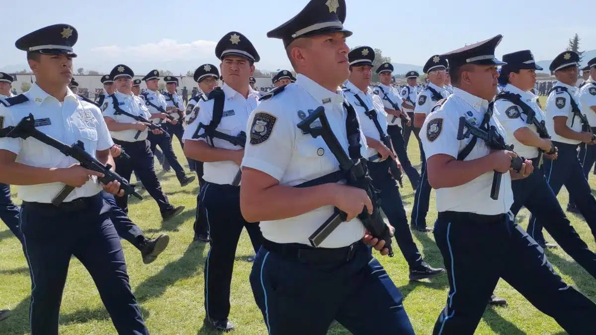 Guardia de protección federal