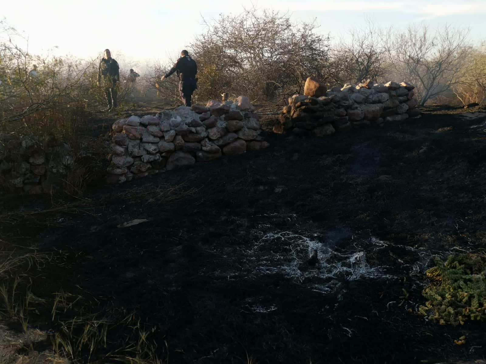Botella provoca que se quemen 5 hectáreas en área protegida de El Maviri