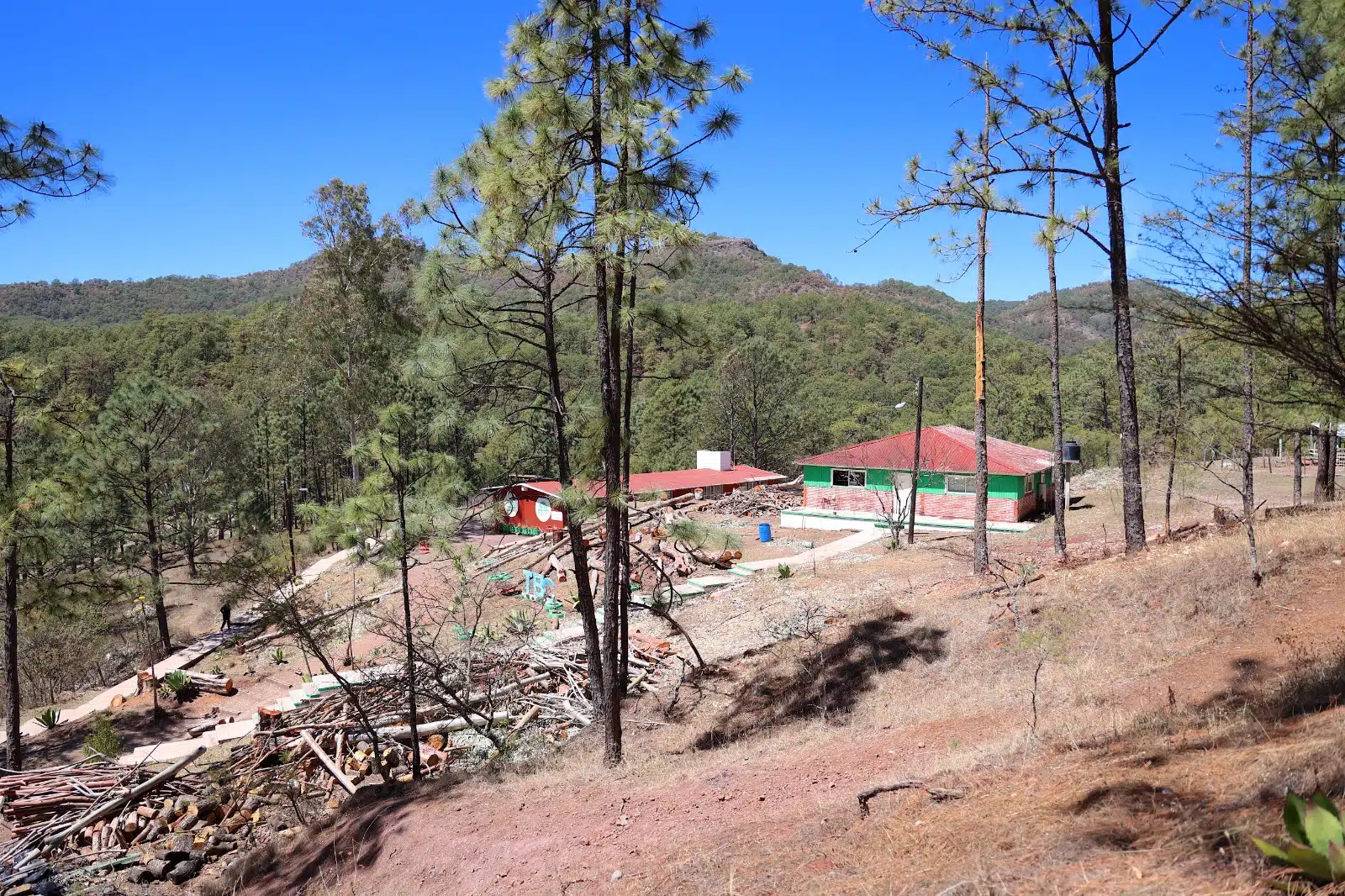 La emergencia ya pasó en incendio de Concordia, afirman autoridades de Sebides