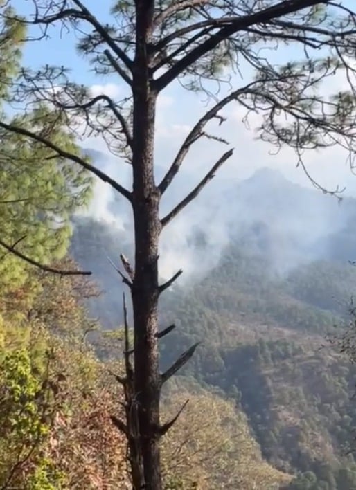 Incendio en Loberas, Concordia