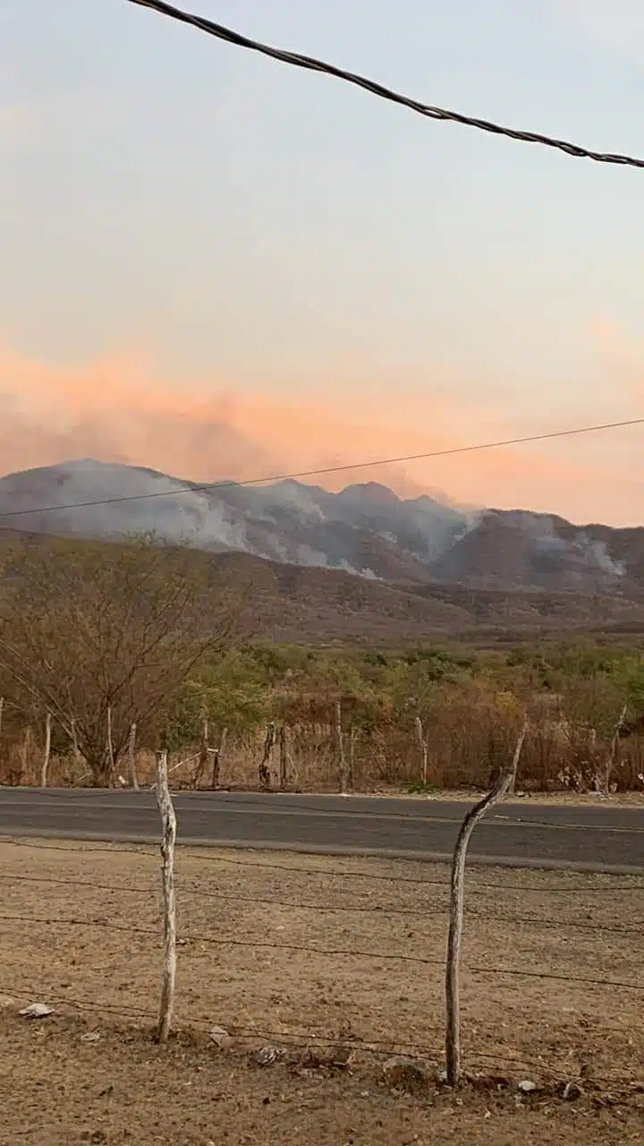 Incendio forestab cerro del Cazanate municipio de Sinaloa
