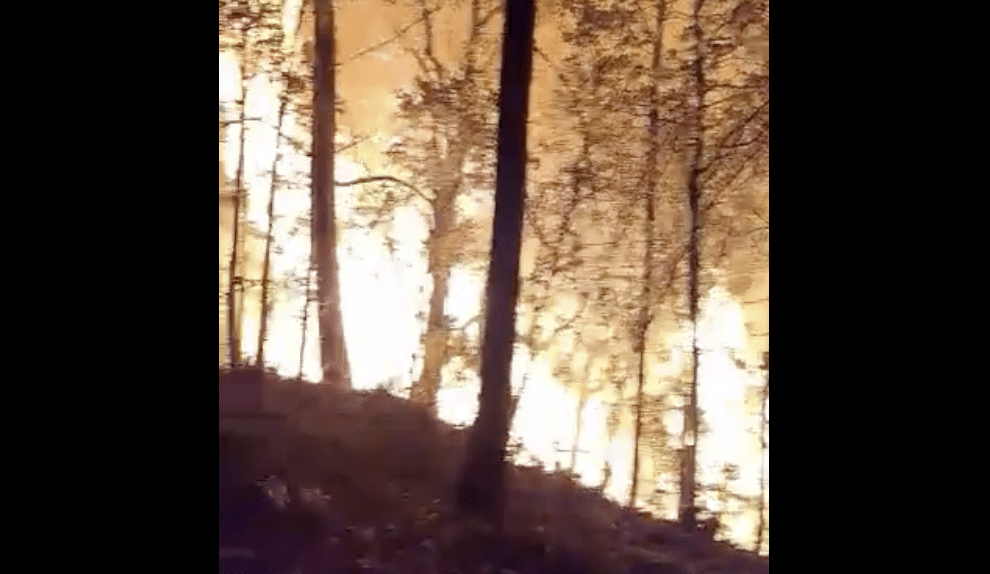 Incendio forestal Concordia, Sinaloa