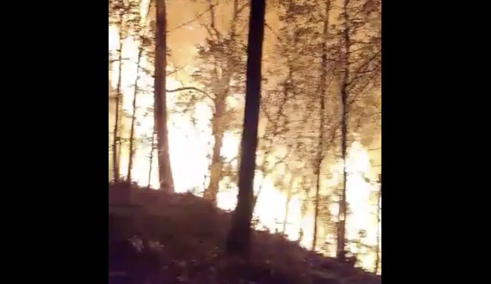 Incendio forestal Concordia, Sinaloa