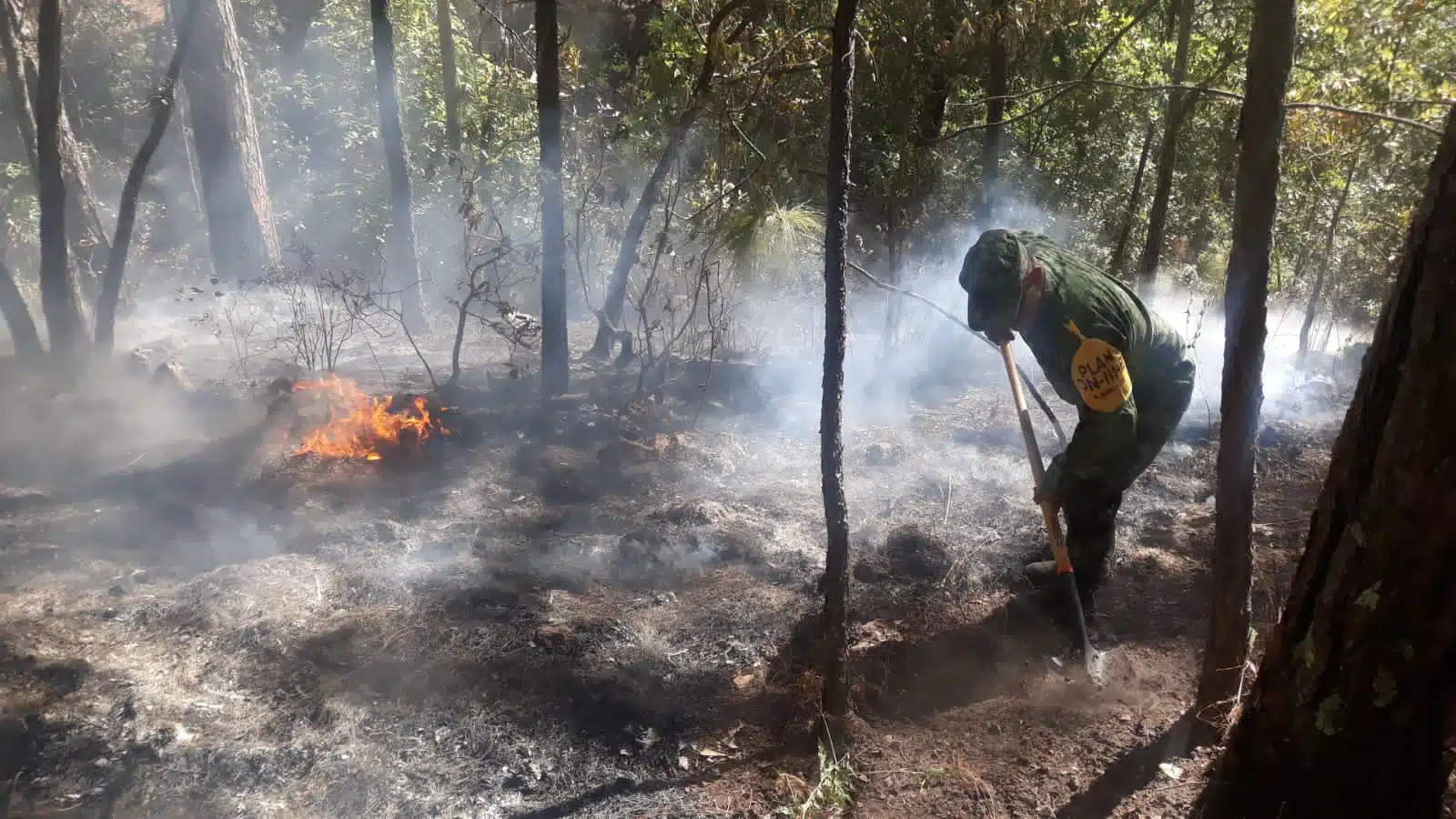 Incendio forestal Concordia