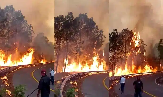 Video: ¡Impactantes imágenes! Por vasto incendio forestal en la sierra de Concordia, reportan evacuaciones