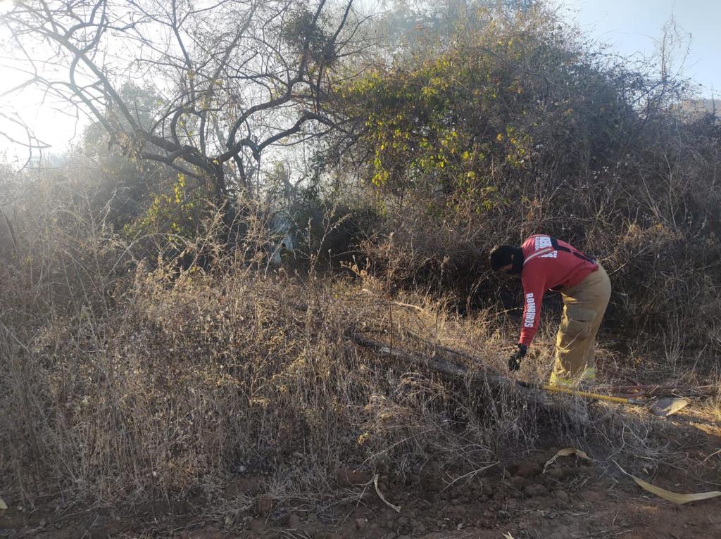 Incendios Forestales Mocorito 2023 1.36.24 PM