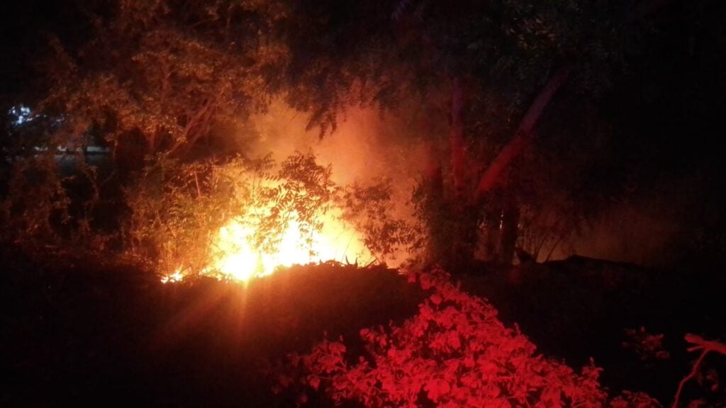 Incendios de lotes baldíos