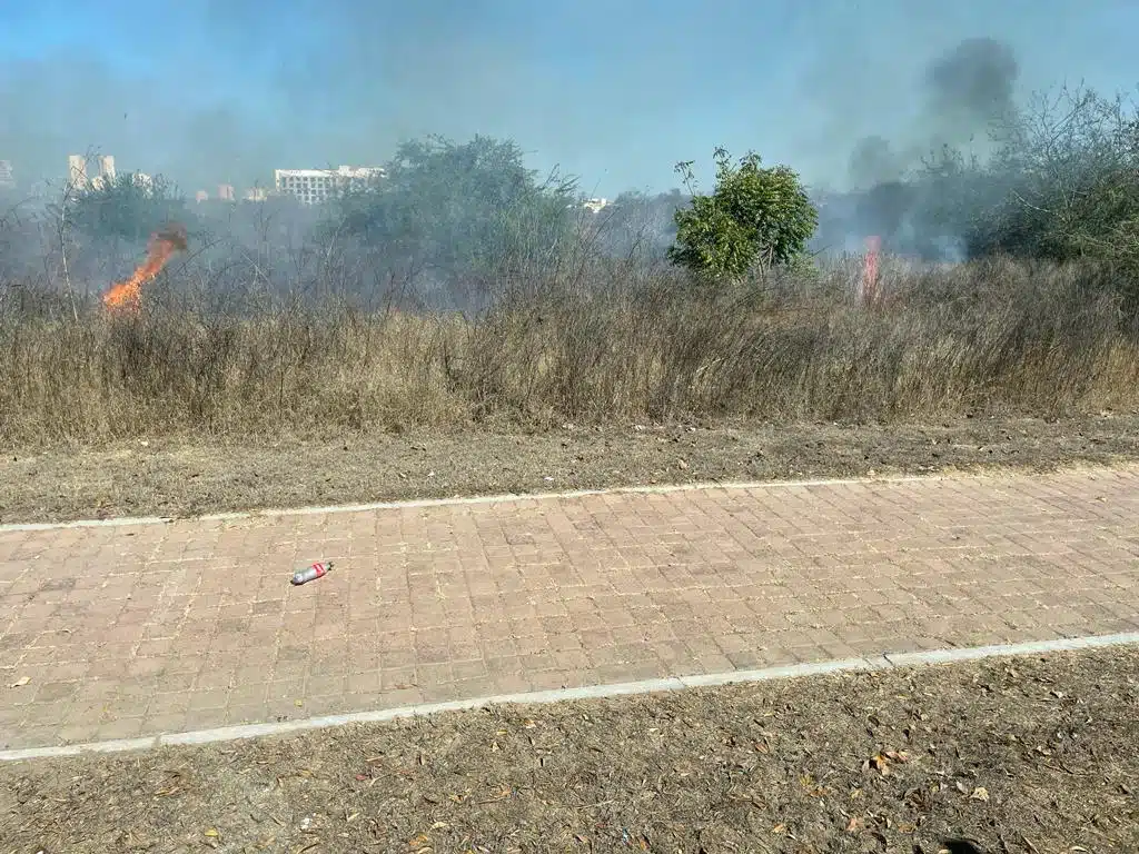 Incendios de lotes baldíos