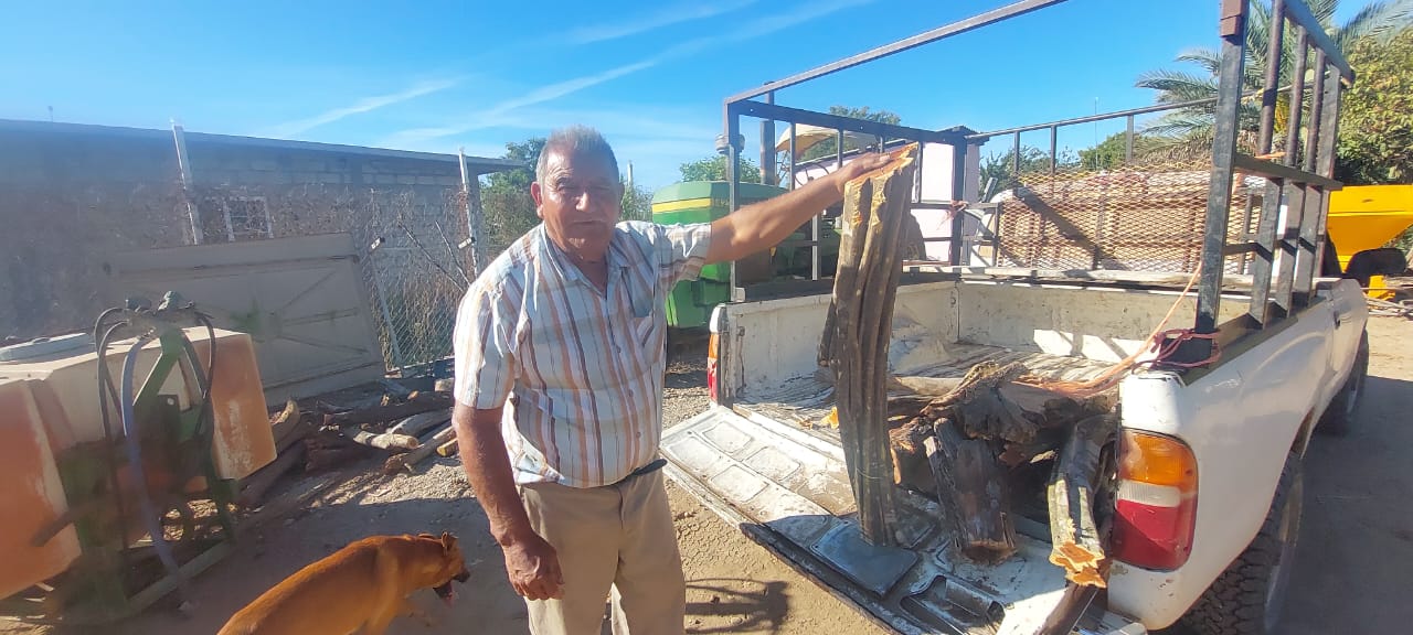 La consumen en el área rural: Leña, combustible ancestral con el que cada vez cocinan menos hogares
