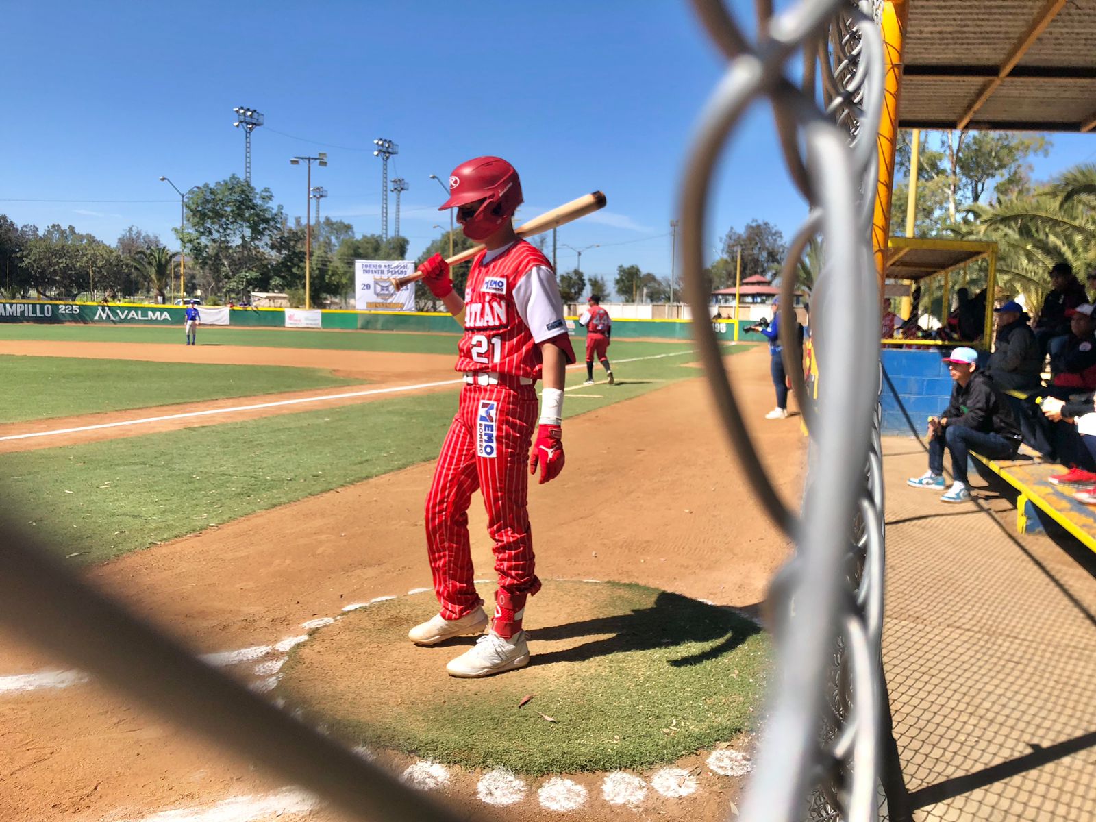Liga Mazatlán Beisbol