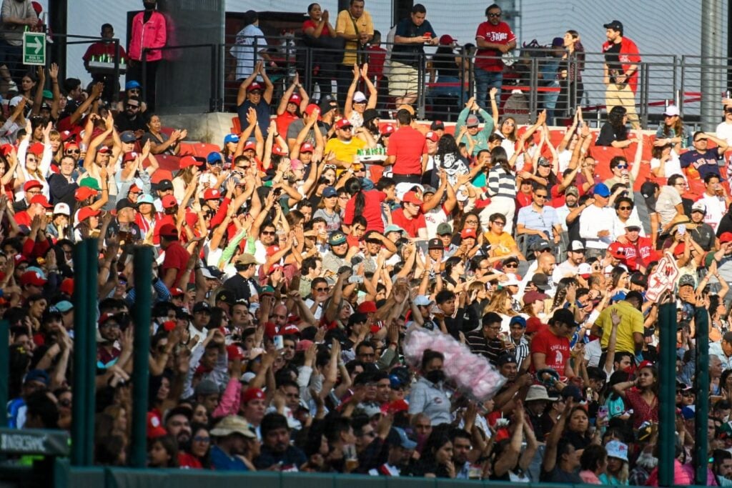 Liga Mexicana de Beisbol (4)