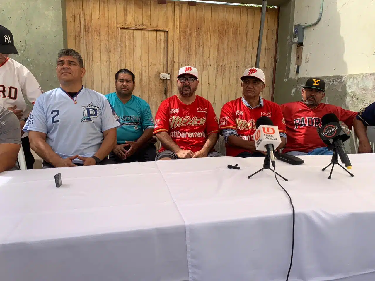 Liga de Beisbol Primera Fuerza Imdem