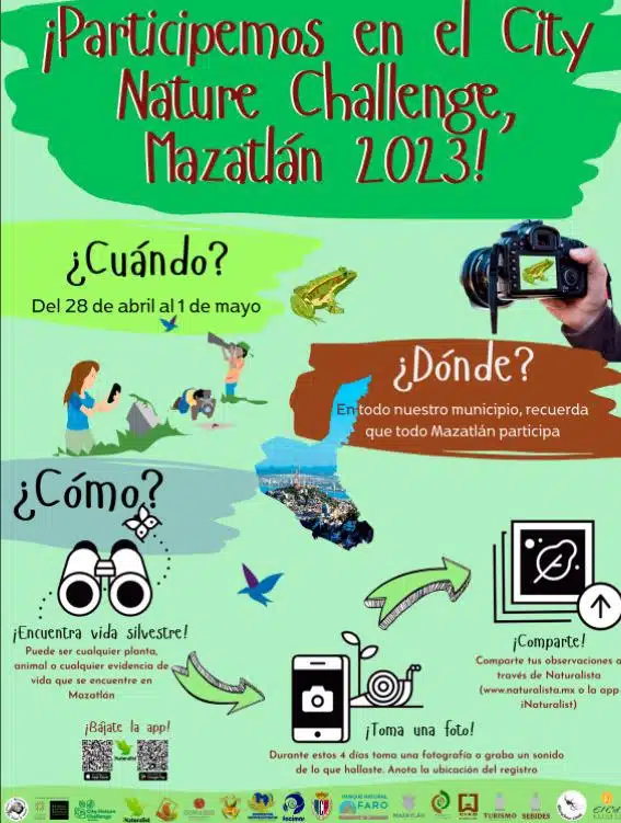 Llega el City Nature Challenge a Mazatlán (1)