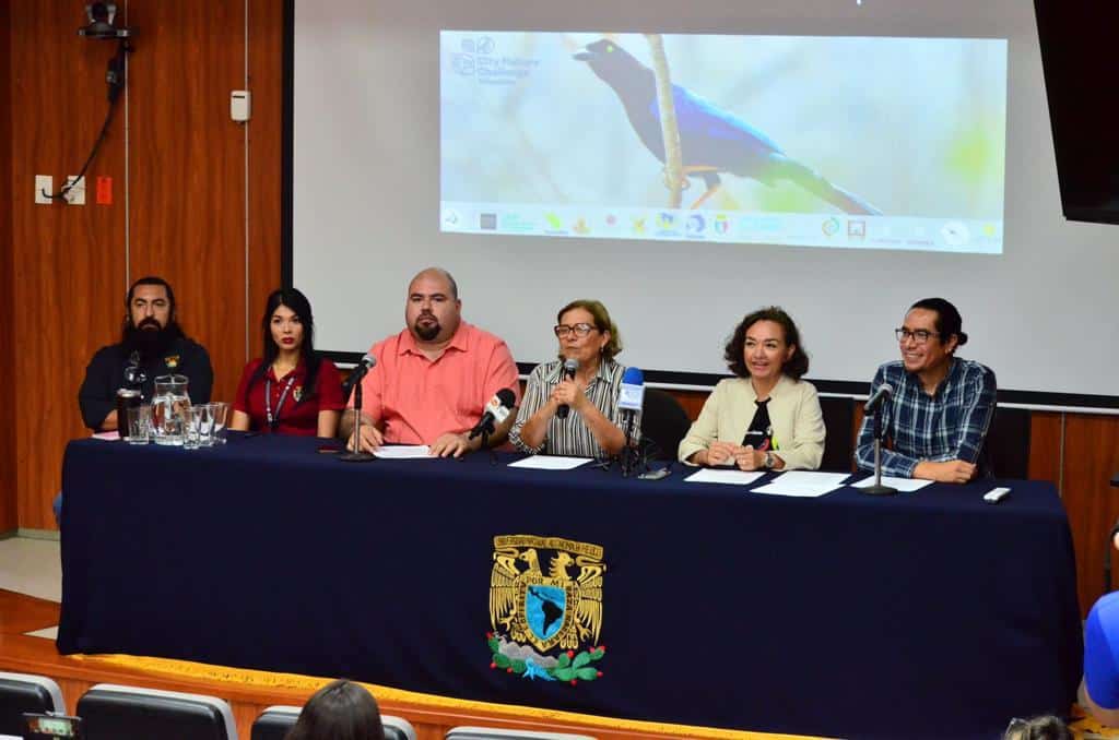 Llega el City Nature Challenge a Mazatlán