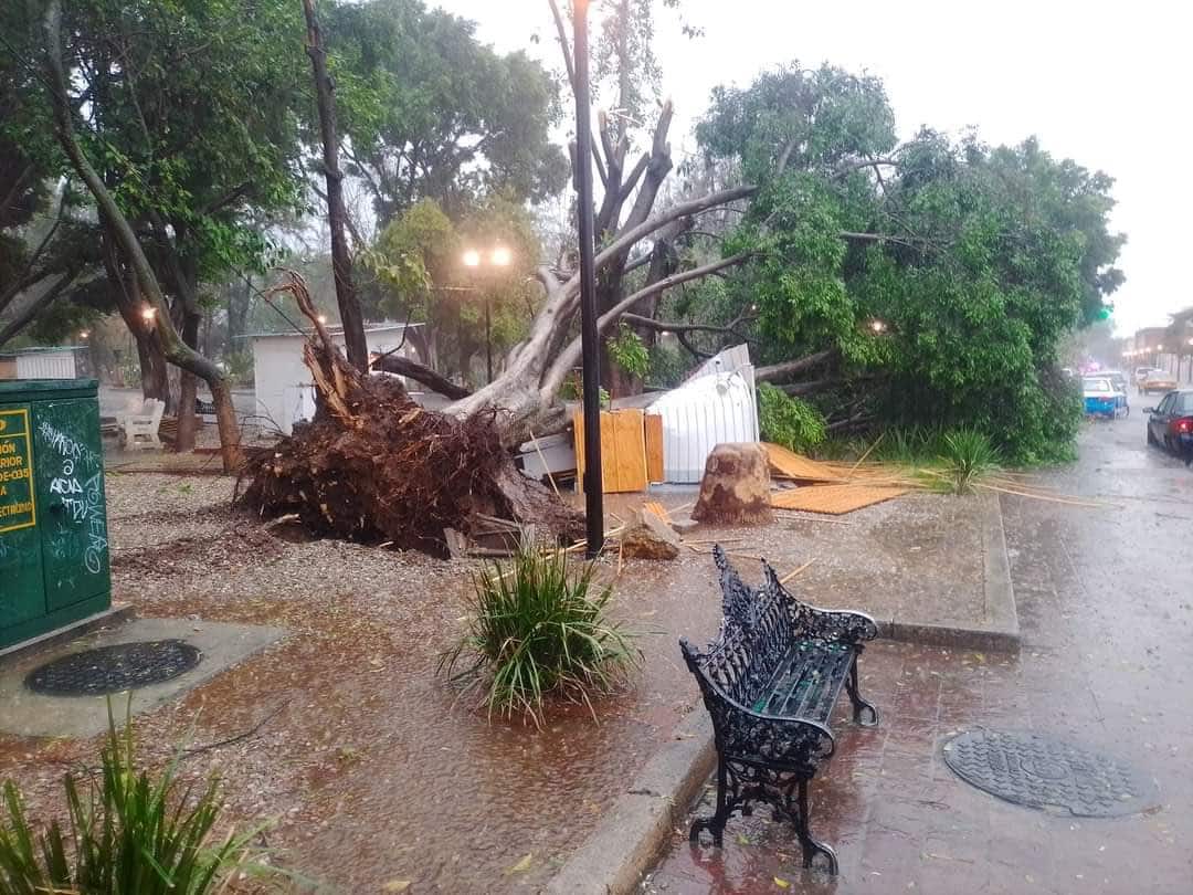Lluvias oaxaca
