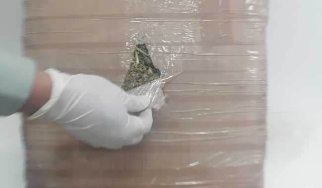 Marihuana Aguascalientes
