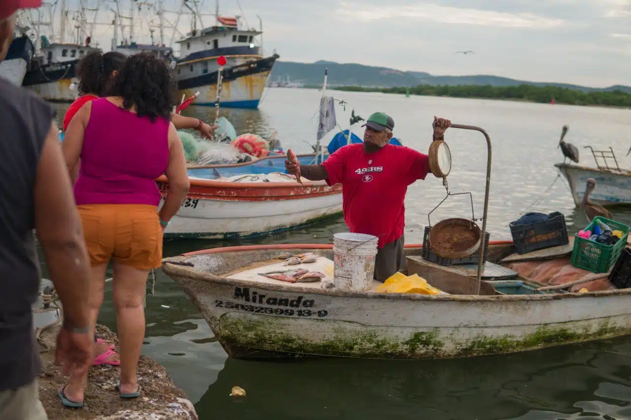 Pesca Mazatlán Sinaloa Sur