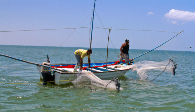 Pesca camarón
