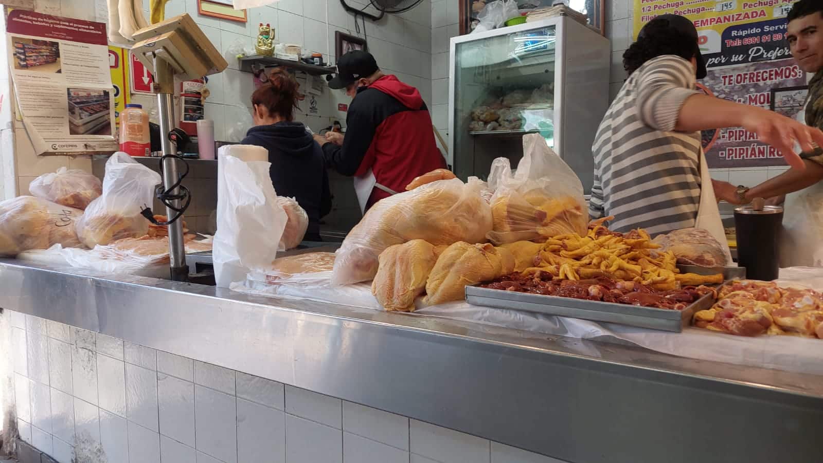Pollo