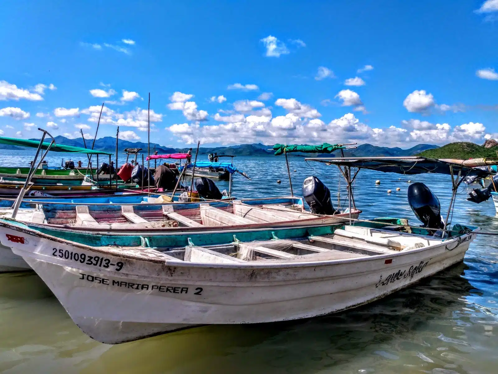 Si no se respeta la veda, en poco tiempo desaparecerá la pesca, advierten