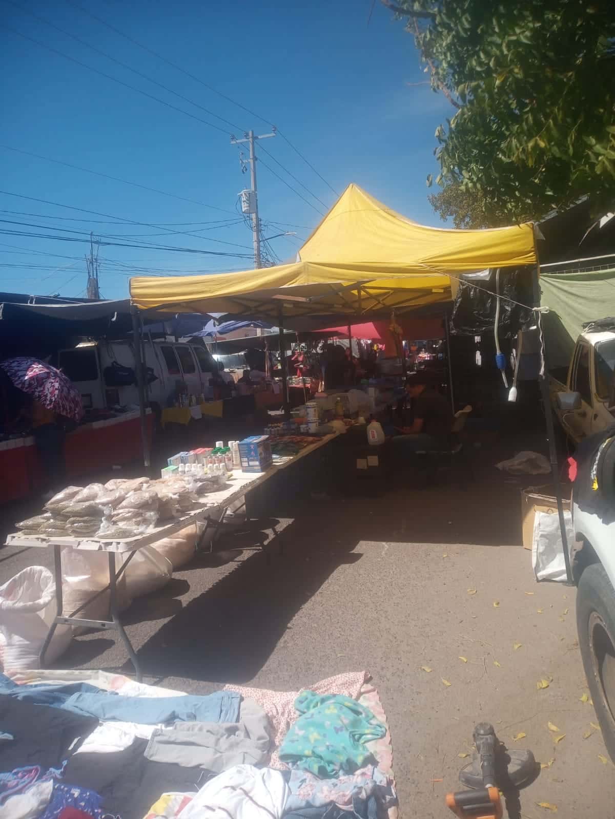 Tianguis de Culiacán