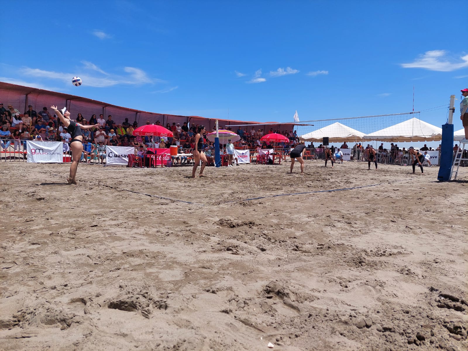 Torneo de Voleibol